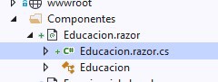 partial classes blazor