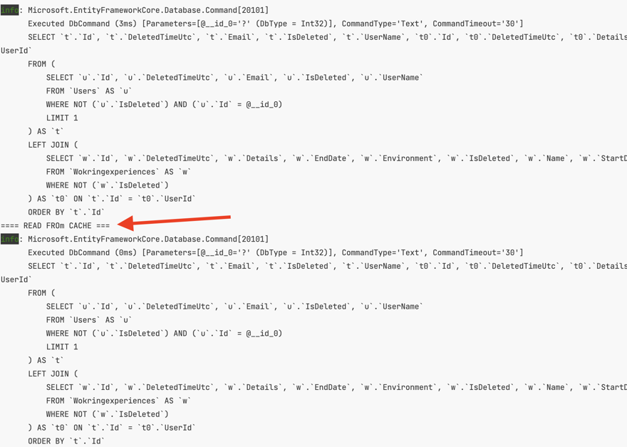 explanation second level caching entity framework core