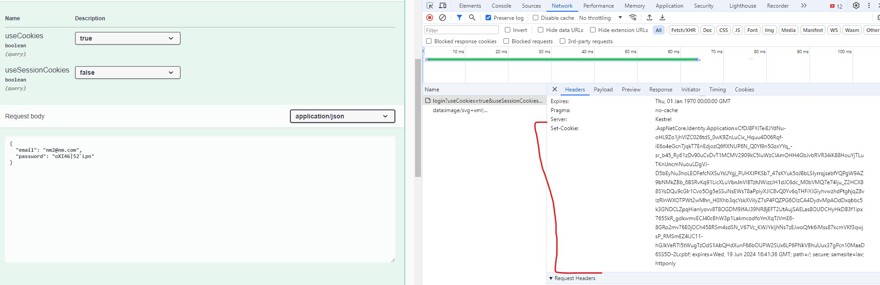ejecución identity api