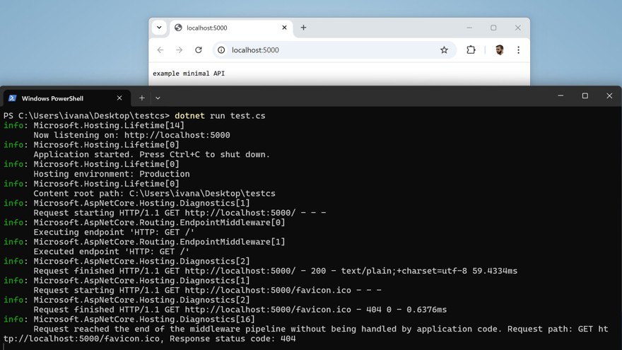 dotnet run con api